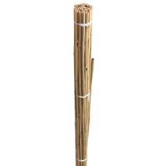 Westland Grow-It  Bamboo Canes Bulk Bundle 240cm 8' 10pk