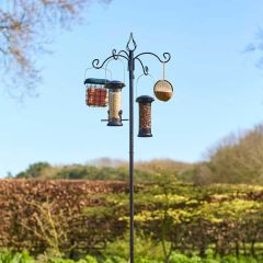 Tom Chambers Banquet Bird Feeding Station