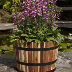 Tom Chambers Applewood Barrel Planter Large