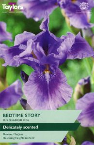 Taylor's Bulbs Iris Bedtime Story