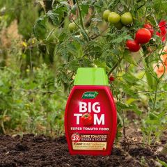 Westland Big Tom Tomato Food 1L