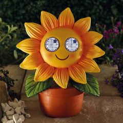 Smart Garden Blinkin' Sunflower XL