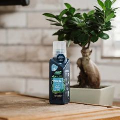 Westland Bonsai Feed Concentrate 200ml