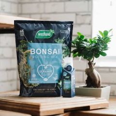 Westland Bonsai Potting Mix Peat Free 4L