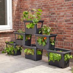 Elho Green Basics Stack & Grow Large - Living Black 