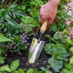 Burgon &amp; Ball Stainless Transplanter Trowel