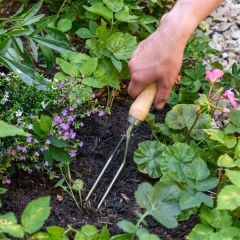 Burgon &amp; Ball Stainless Weeding Fork