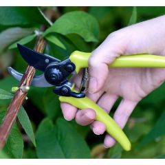 Burgon & Ball - Micro Secateur - RHS Endorsed Terracotta Handle