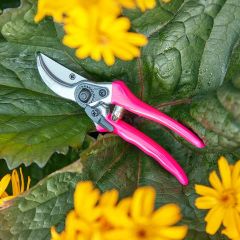 Burgon & Ball Fluores Bypass Secateur - Pink 