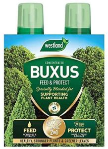 Westland 2in1 Feed & Protect Buxus - 500ml