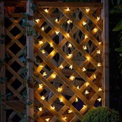 Smart Garden Buzzy Bee String Lights - Set of 50