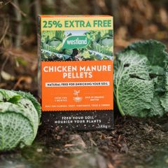 Westland Organic Chicken Manure 2.25kg + 25%  Extra Free