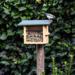 CJ Wildlife Tilburg Wall Mounted Feeding House