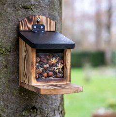 CJ Wildlife Victoria Squirrel Feeder