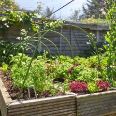 Cloche Hoops 6 Pack - Smart Garden