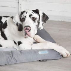 Scruffs Cool Bed (M) 75 X 53cm Grey
