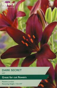 Taylor's Bulbs Dark Secret