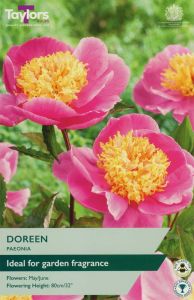 Taylor's Bulbs Paeonia Doreen