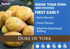 Potato Duke Of York 2Kg - Taylor's Bulbs