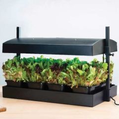 Worth Gardening Grow Light Garden Black