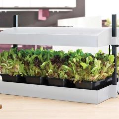 Worth Gardening Grow Light Garden White