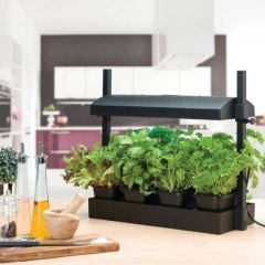 Worth Gardening Micro Grow Light Garden Black