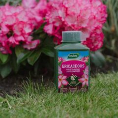 Westland Ericaceous Specialist Liquid Feed 1L 