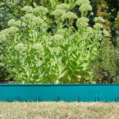 FlexEdge Green - Smart Garden
