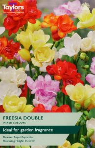 Taylor's Bulbs Freesias Double Mixed Colours