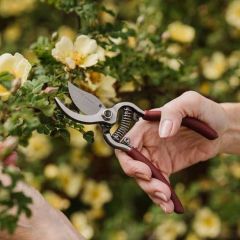 Kent & Stowe Garden Life Bypass Secateurs