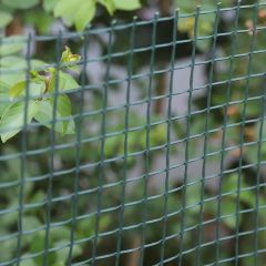 Gardman Garden & Plant Mesh 19mm Green Bulk Roll