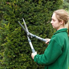 Burgon &amp; Ball Hedge Shear