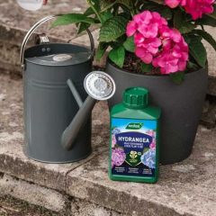 Westland Hydrangea Specialist Liquid Feed 1L