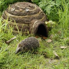 Wildlife World Igloo Hedghog Home