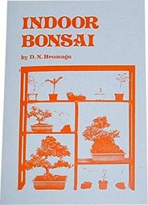 Indoor Bonsai