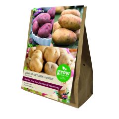 Taylor's Bulbs June to October Potato Harvest Collection