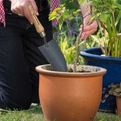 Kent & Stowe Carbon Steel Hand Trowel