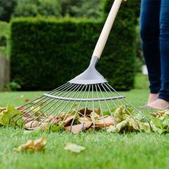 Kent & Stowe Carbon Steel Lawn Leaf Rake