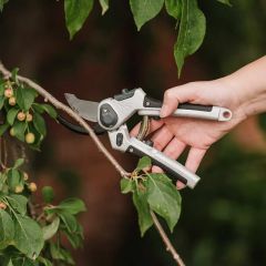 Kent & Stowe Eversharp Lite All Purpose Secateurs