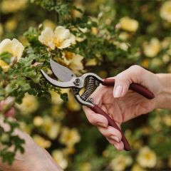 Kent & Stowe Garden Life Bypass Secateur 6"