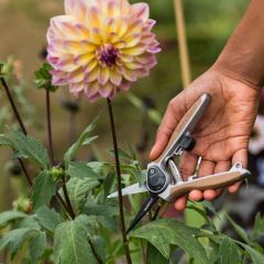 Kent & Stowe Garden Life Flower Snips