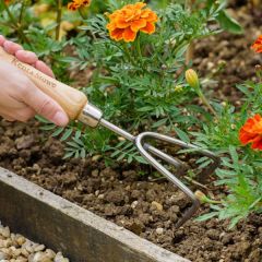 Kent & Stowe Stainless Steel Hand 3 Prong Cultivator 