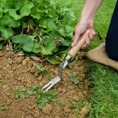 Kent & Stowe Stainless Steel Hand Daisy Grubber