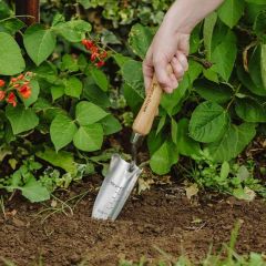 Kent & Stowe Stainless Steel Hand Transplanting Trowel