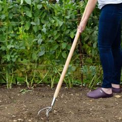 Kent & Stowe Stainless Steel Long Handled 3 Prong Cultivator