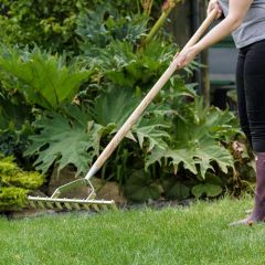 Kent & Stowe Stainless Steel Scarifier