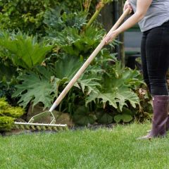 Kent & Stowe Stainless Steel Scarifying Rake