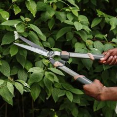 Kent & Stowe Surecut Hedge Shear