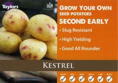 Kestrel 2kg - Taylor's Bulbs