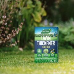 Westland Lawn Thickener Feed & Seed 80m2 Box